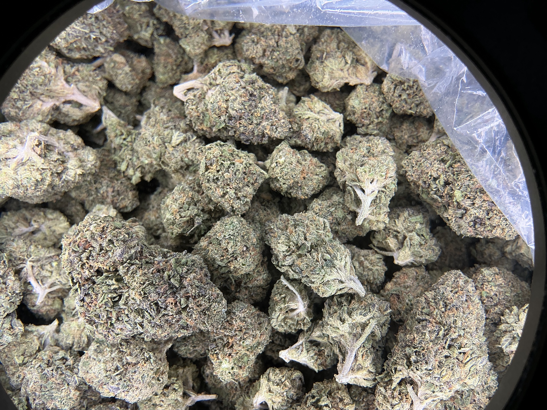 Double Runts THCa Flower (Indoor) / 7 Grams (1/4)